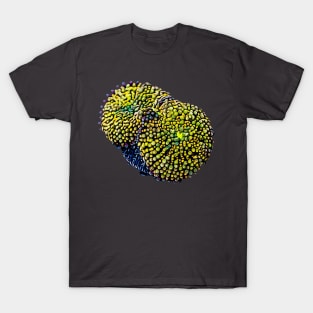 Ricordea Mushroom Art T-Shirt